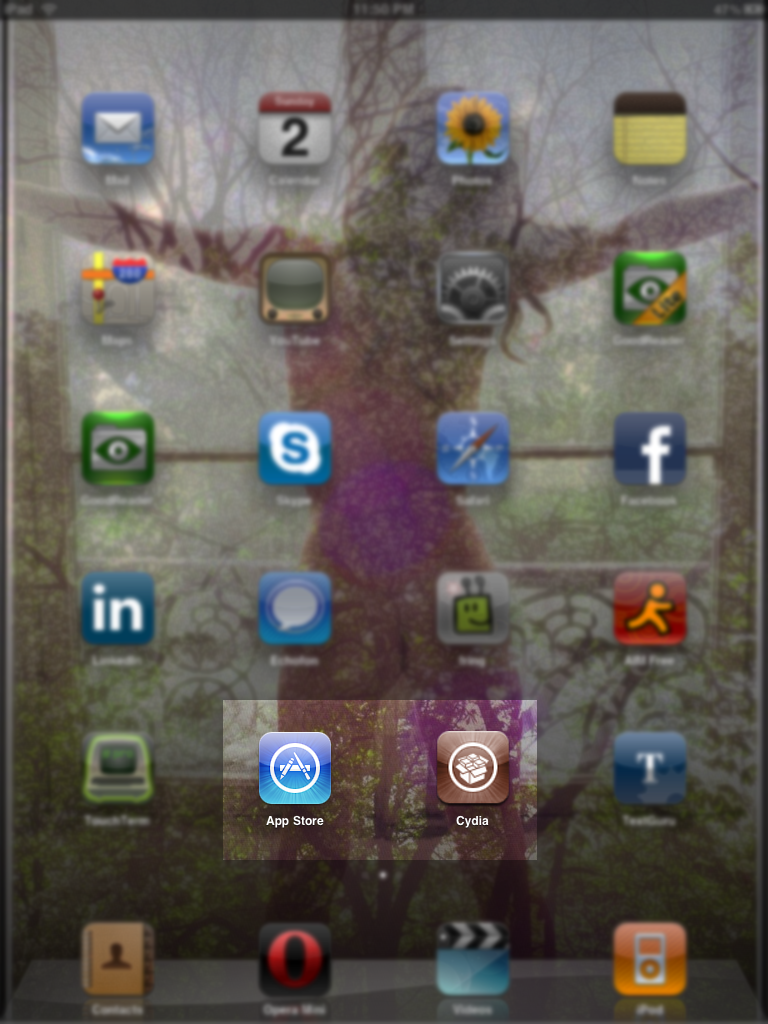 Jailbroken iPad